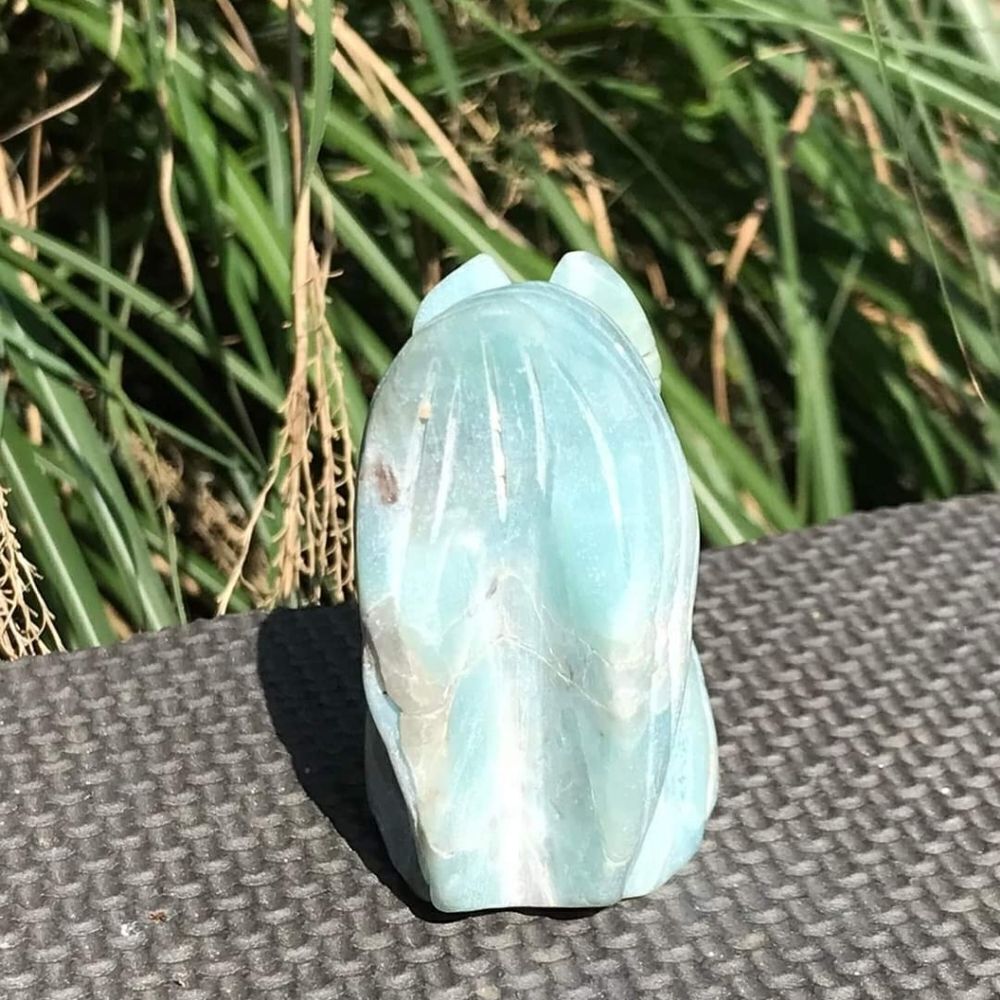 Caribbean Calcite Squirrel - Picture 4 of 10